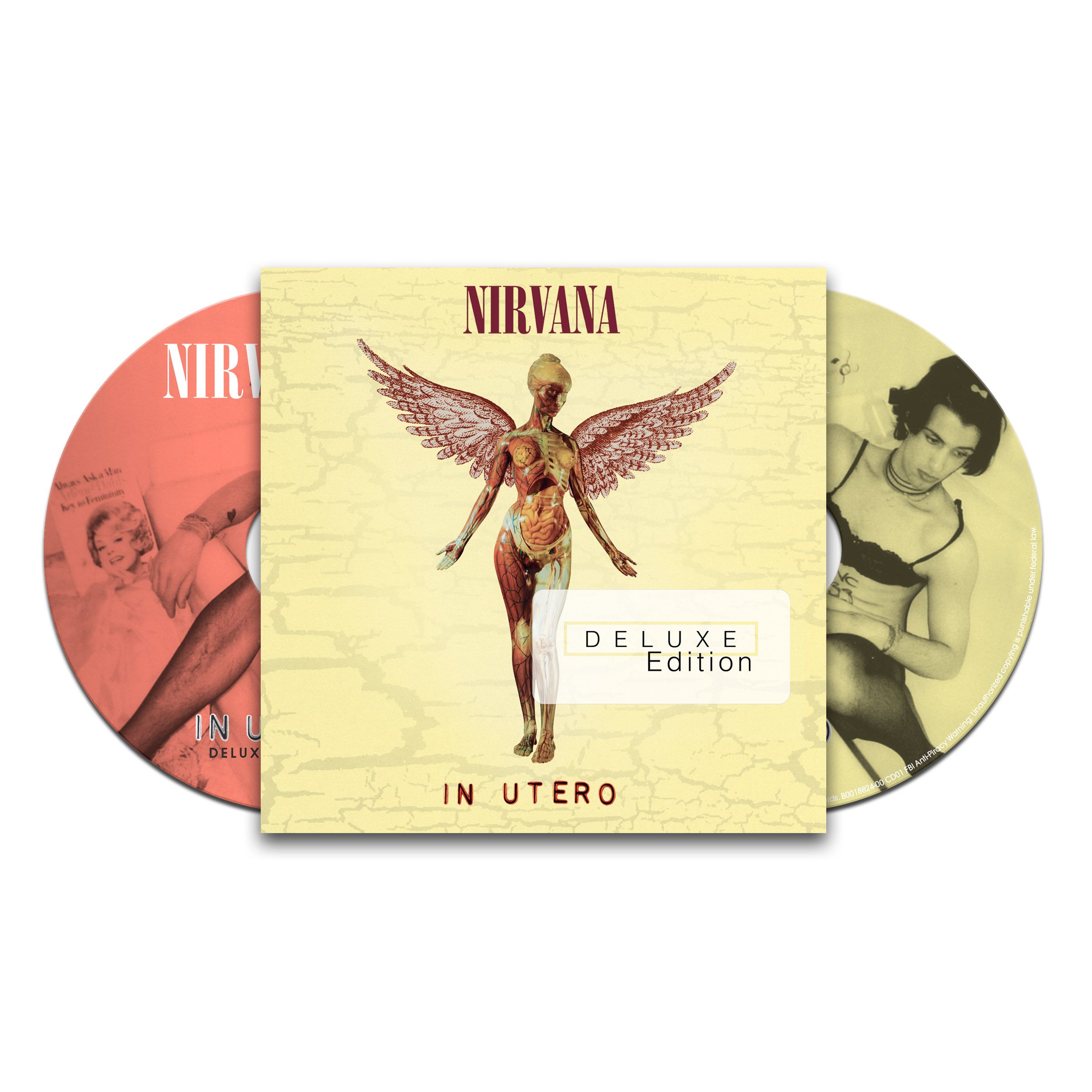 In Utero (20th Anniversary Edition)